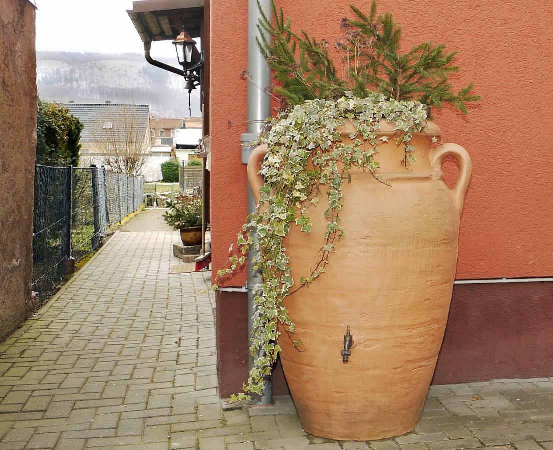 Ferienhaus Oliv Thale Bagian luar foto